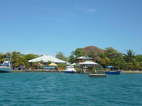 Wikkid Resort Dixon Cove Extérieur photo